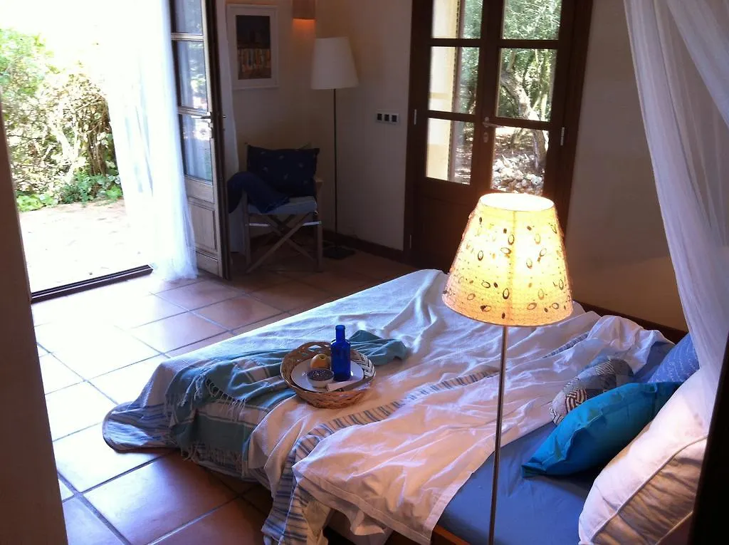 Ferienhaus Villa Can Willi Ariany