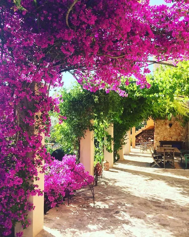 Ferienhaus Villa Can Willi Ariany Spanien