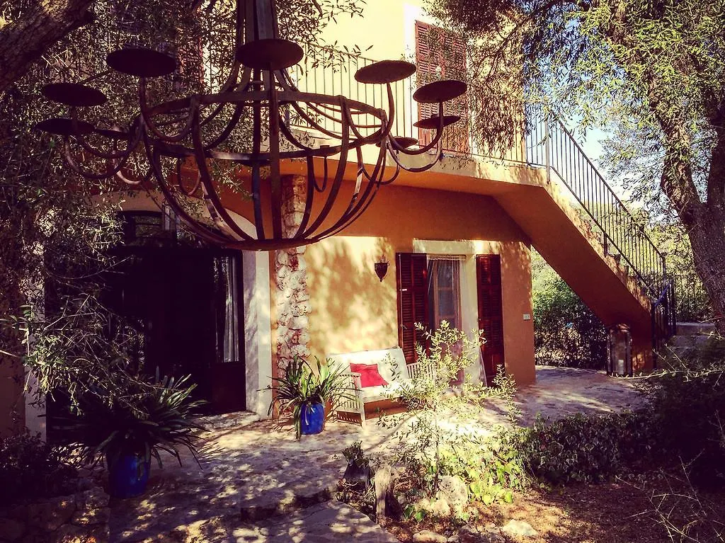 Villa Can Willi Ariany Ferienhaus
