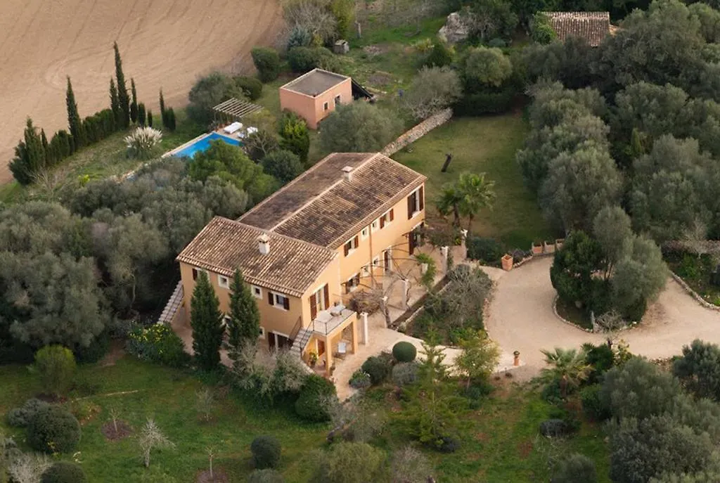 Villa Can Willi Ariany 0*,  Spanien