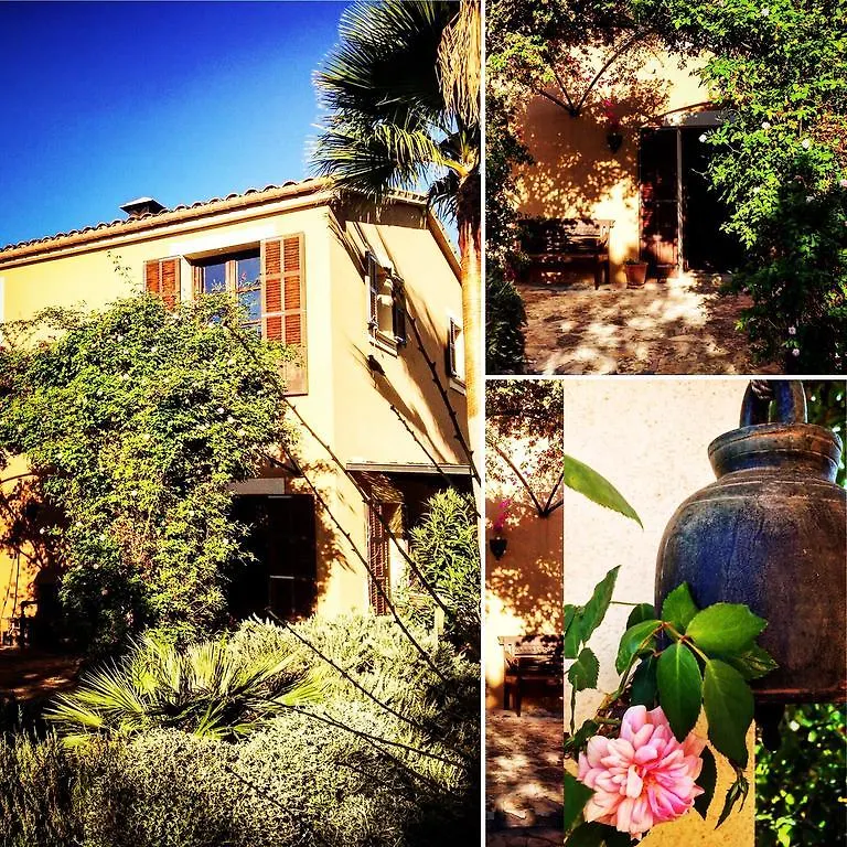Villa Can Willi Ariany Ferienhaus
